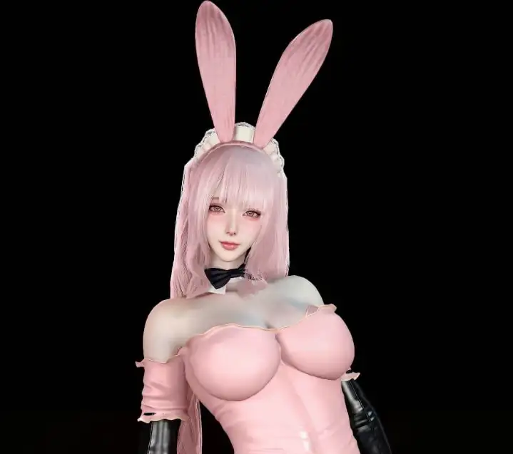 Dnaddr.PinkMaid_P_v1_5_25_10_24.1-Fx718社区